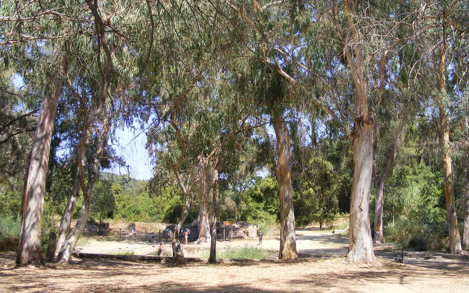 The Thermal Baths